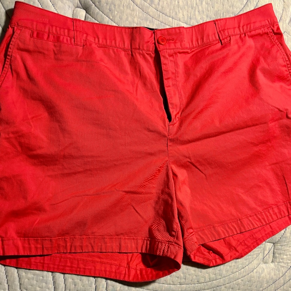 PLUS NWOT Lane Bryant Pink shorts